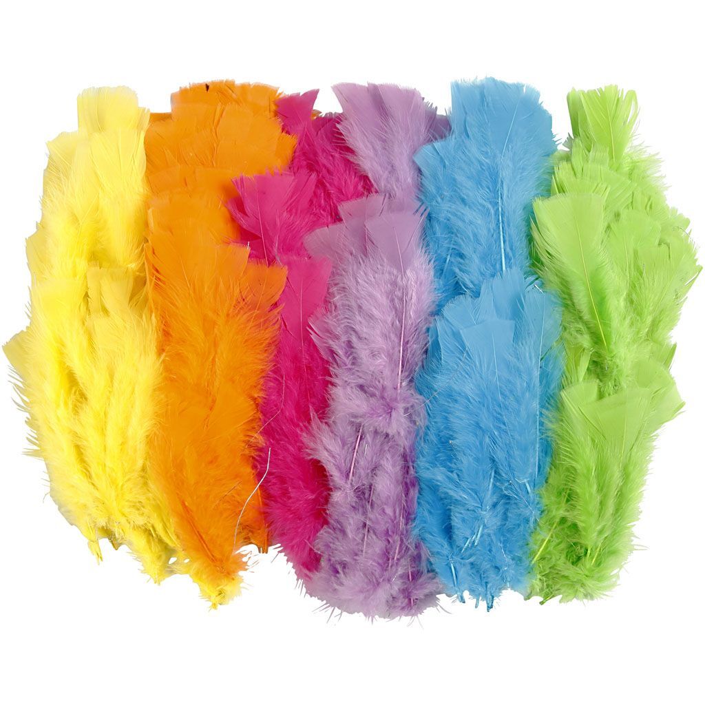 Federn, Gr��e 11-17 cm, Farbmix, 144 B�ndel