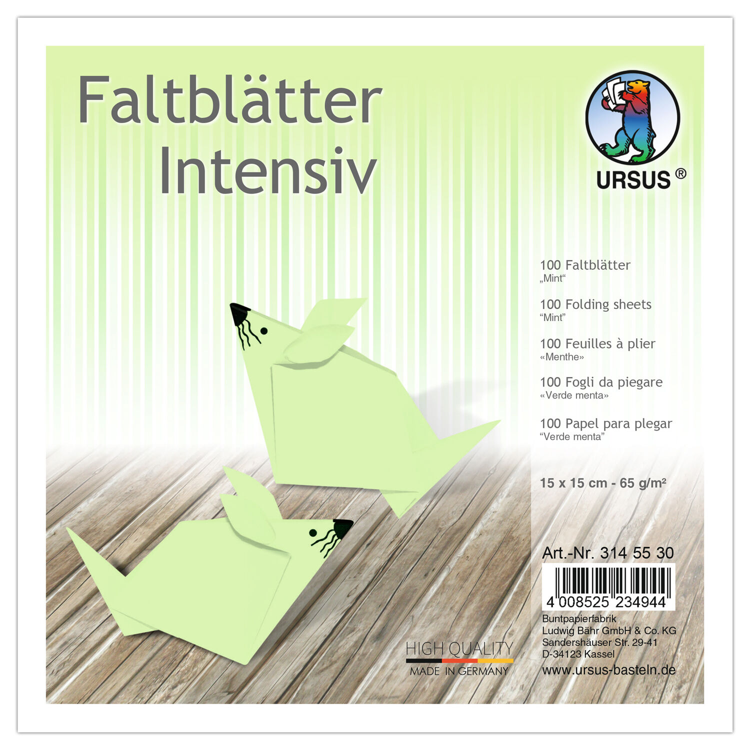 Faltbl�tter intensiv, 100 Blatt, 15 x 15 cm, Mint