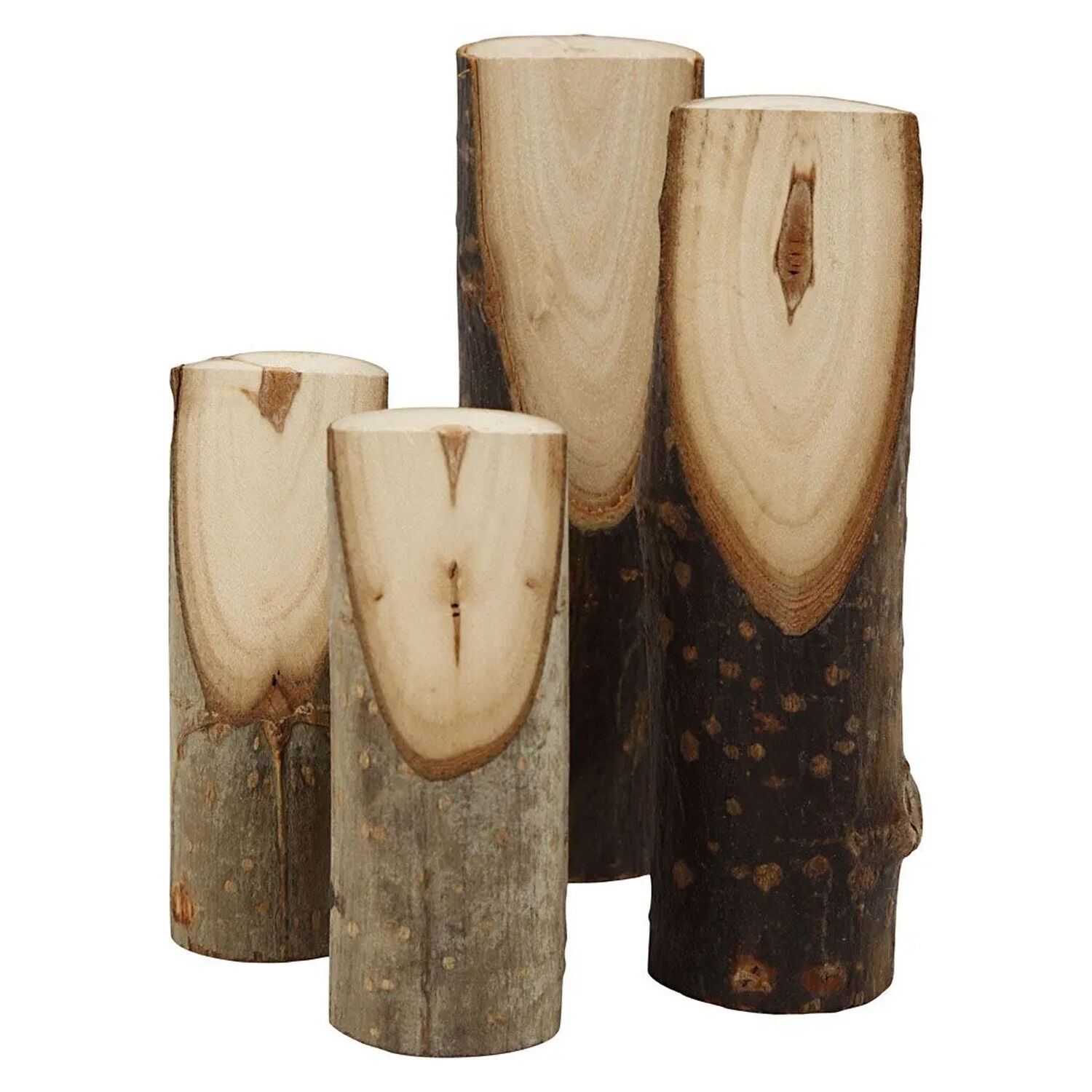 NEU Kurze Holz�ste mit schr�ger Schnittkante, � 25-35 mm, H�he 8+12 cm, 4 Stk. Bild 2