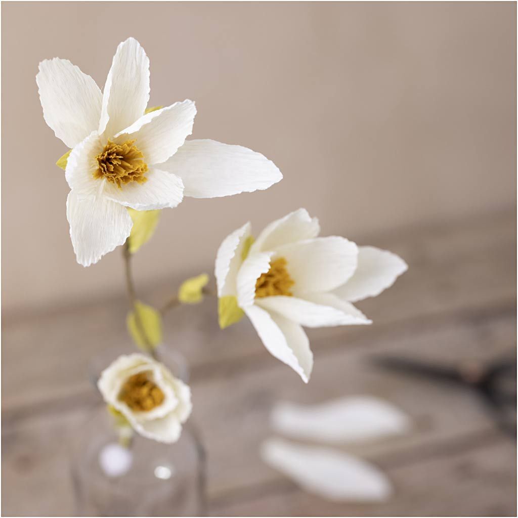 Kreativ Set Floristen-Krepppapier, Magnolienzweig, Extrastarkes Krepp, 105 g Bild 5