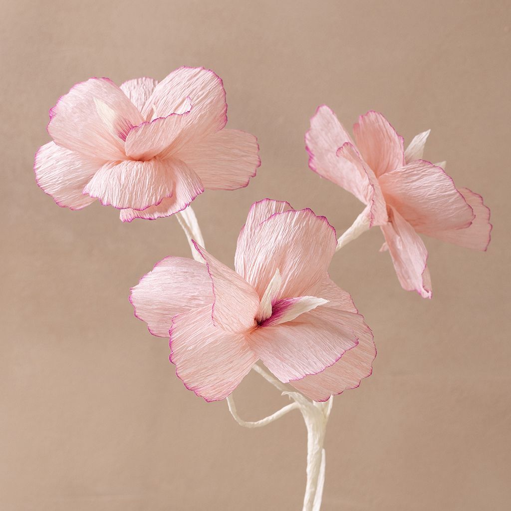 Kreativ Set Floristen-Krepppapier, Blumen, Pastellfarben Bild 5