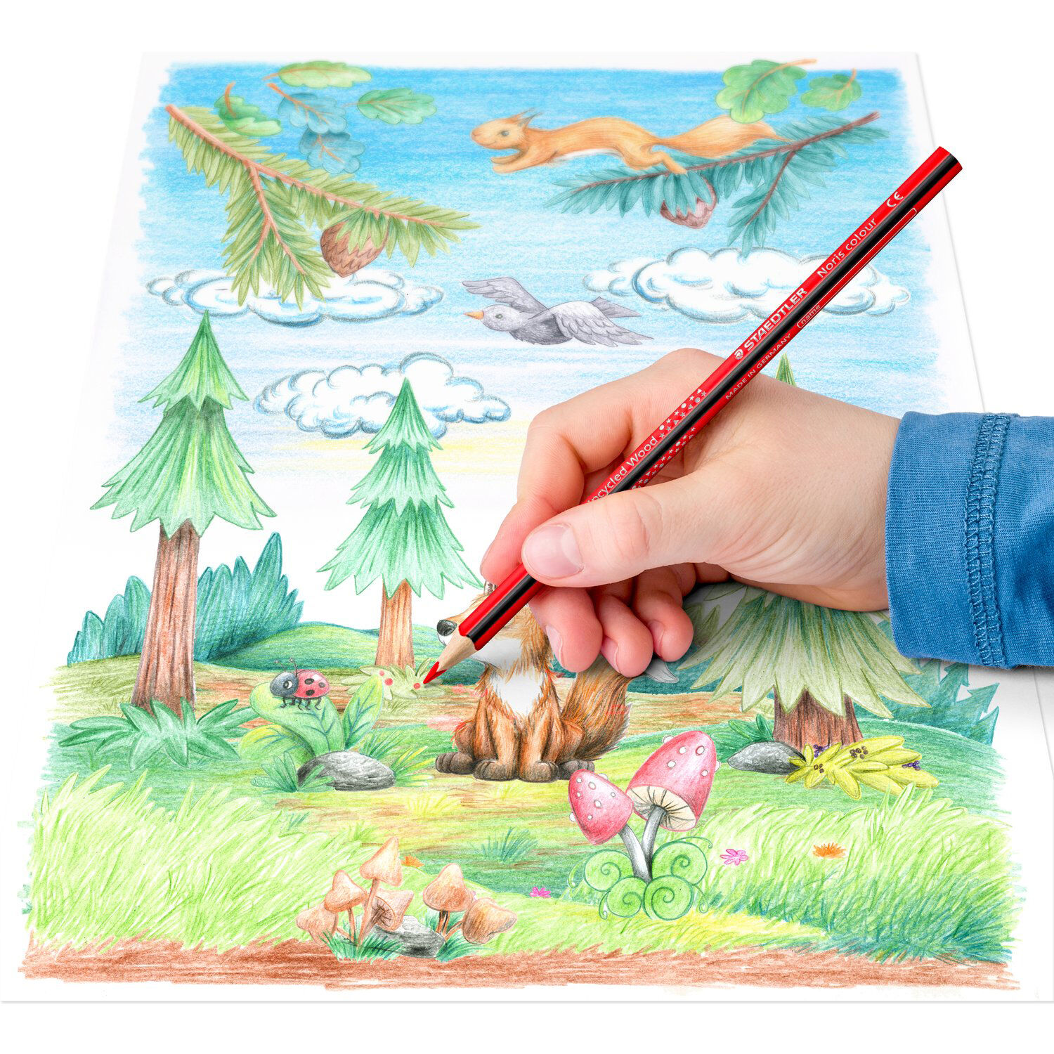 Staedtler Buntstifte, Noris Colour, 12 St�ck sortiert Bild 3