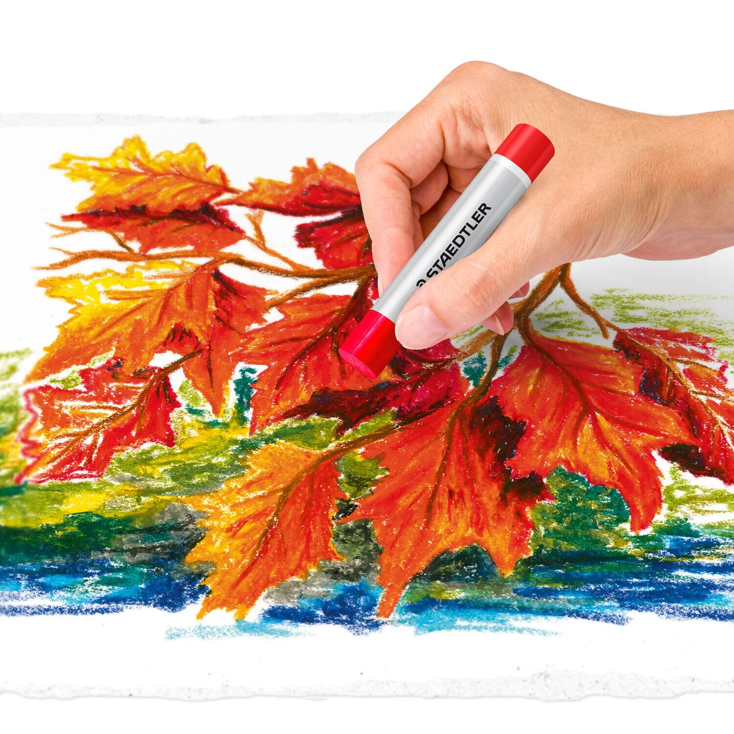 NEU Kartonetui mit 12 �l- Pastellkreiden in sortierten Farben Bild 3
