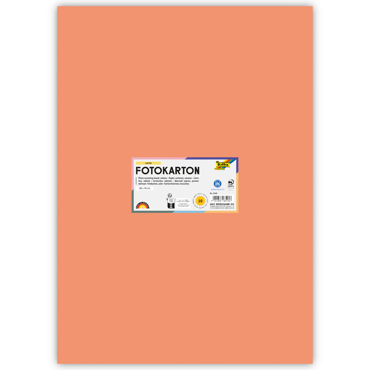 Fotokarton 10 Bogen, 300 g/qm, 50x70 cm, Lachs