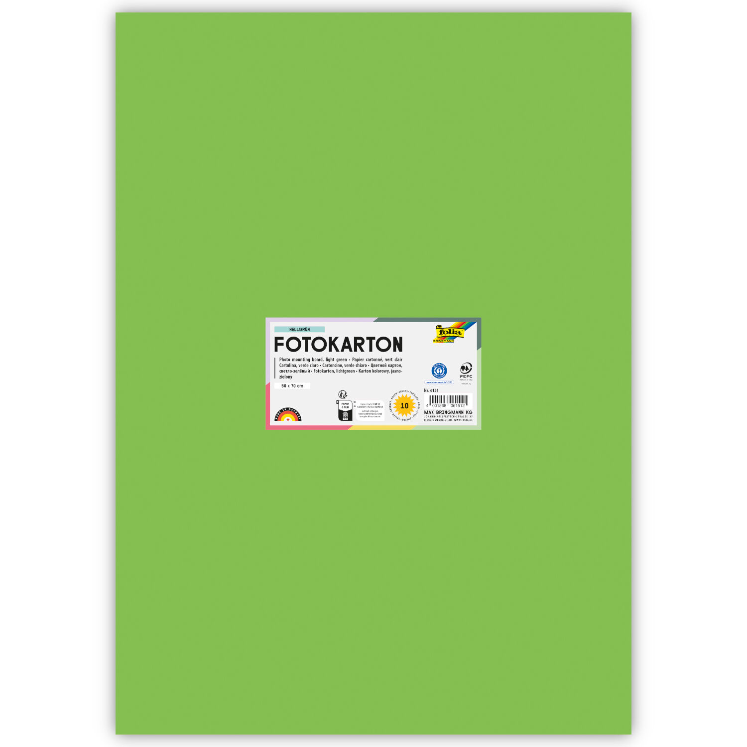 Fotokarton 10 Bogen, 300 g/qm, 50x70 cm, Hellgr�n
