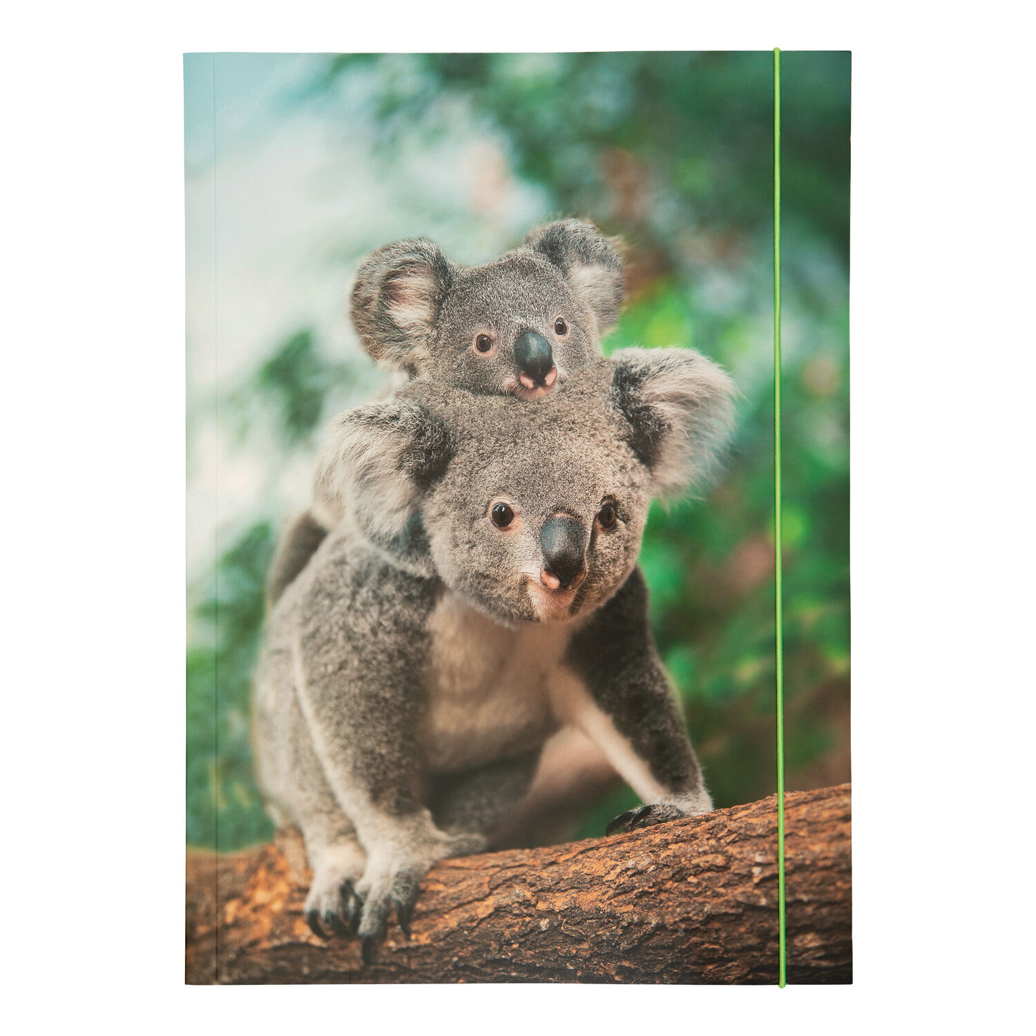 Sammelmappe mit Gummiband, A3, 1 Mappe, BASIC JUNGLE CUTIES / Koala