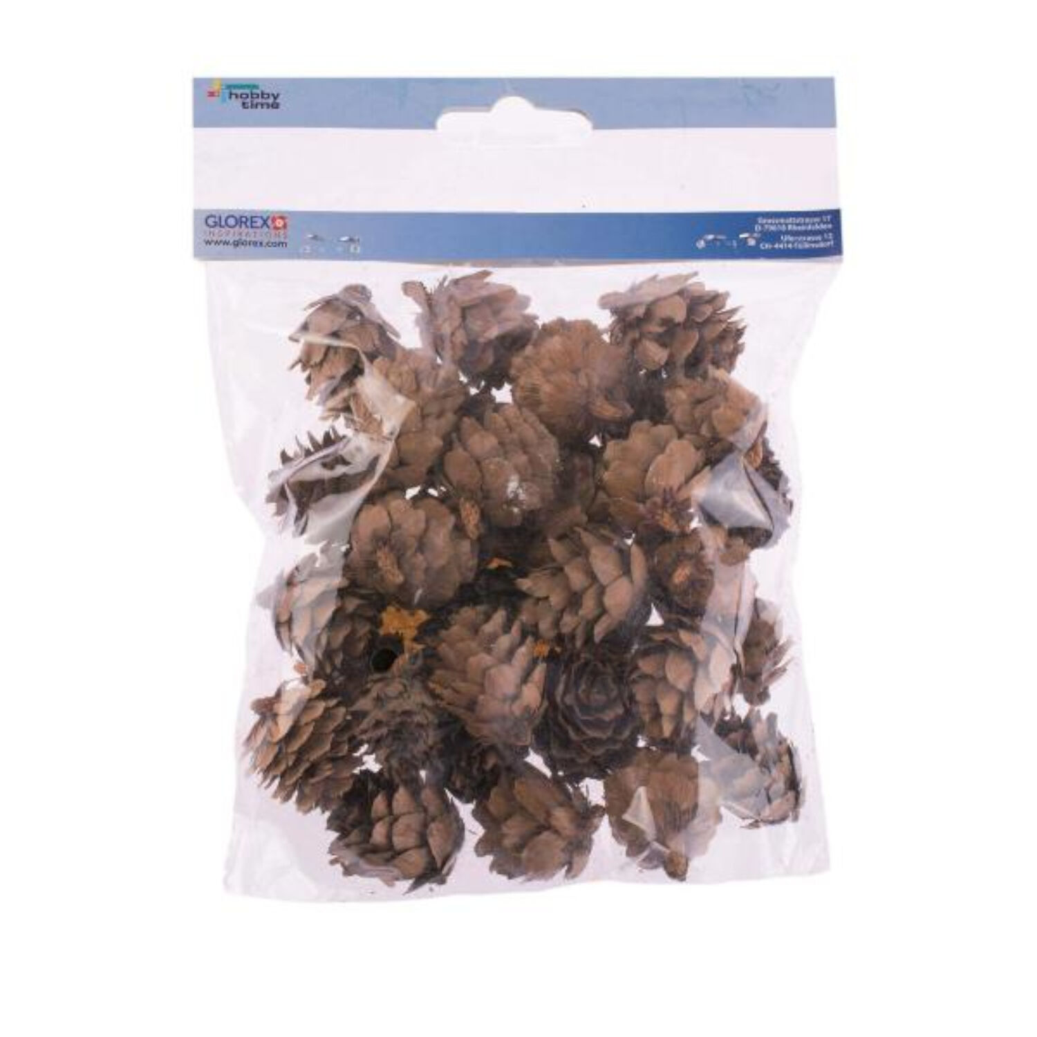 SALE Tannenzapfen, klein, 60g, 2- 3 cm Bild 2