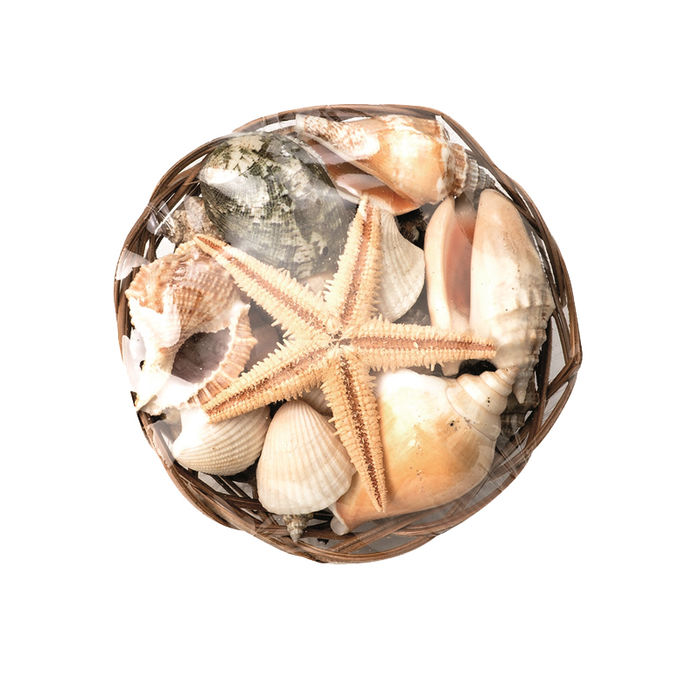 Muschelmix im K�rbchen, 150 g