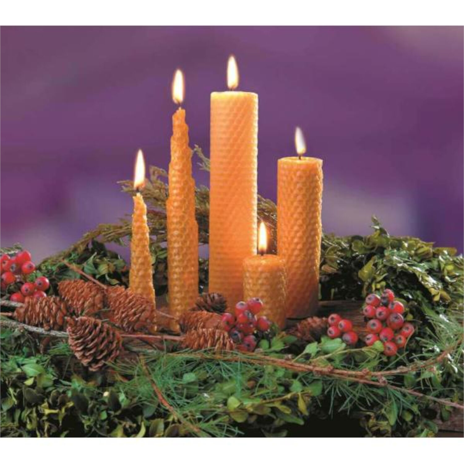 100% Bienenwachsplatten 22x17cm, 3 St�ck, mit 90 cm Kerzendocht Bild 3