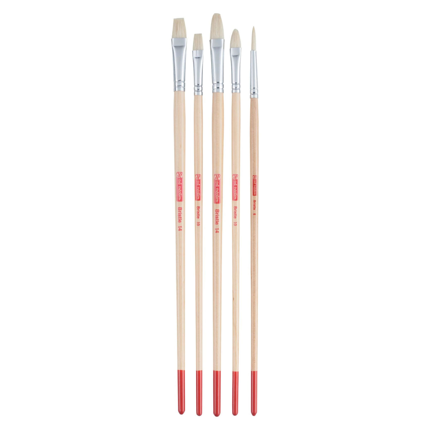 NEU ArtCreation �l- & Acrylpinsel, Schweineborste, 5 Pinsel sortiert