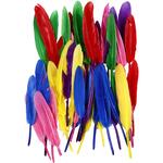 Federn, 48 St�ck, L�nge ca. 13 cm, Sortierte Farben