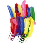 Federn, 36 St�ck, L�nge ca. 20 cm, Sortierte Farben
