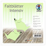 Faltbl�tter intensiv, 100 Blatt, 15 x 15 cm, Mint