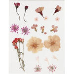 SALE Trockenblumen-Sortiment, flach gepresst, Hellrosa