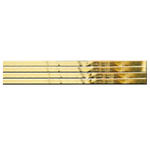 SALE Zierstreifen glatt L: 200mm, B:2 mm 15 Stk, gold