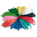 Indianer-Federn, 100g, mehrere 100 St�ck SPAR-PACK