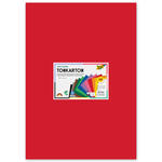 Color-Bastelkarton / Tonkarton-Sortierung, 180g/m�, DIN A2, 120 Blatt, 12 Farben sortiert