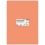 Fotokarton 300g/qm 50x70 cm, Lachs, 1 Bogen