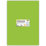 Fotokarton 300g/qm 50x70 cm, Maigr�n, 1 Bogen