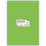 Fotokarton 300g/qm 50x70 cm, Hell-Gr�n, 1 Bogen