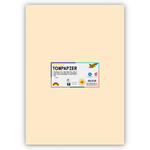 Tonpapier 130g/qm, DIN A3, 50er Pack, Beige