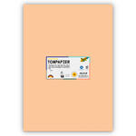 Tonpapier 130g/qm, DIN A3, 50er Pack, Chamois