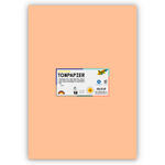 Tonpapier 130g/qm, DIN A3, 50er Pack, Apricose