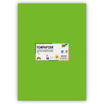 Tonpapier 130g/qm, DIN A3, 50er Pack, Maigr�n