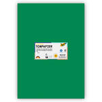 Tonpapier 130g/qm, DIN A3, 50er Pack, Moosgr�n