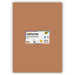 Tonpapier 130g/qm, DIN A3, 50er Pack, Rehbraun