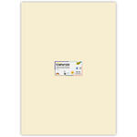 Tonpapier, Einzelbogen, 130 g/qm, 50x70 cm, Beige