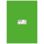 Tonpapier, Einzelbogen, 130 g/qm, 50x70 cm, Grasgr�n