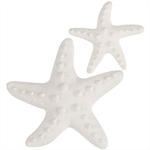 Glorex Gie�form Seestern, 7,5cm & 10cm