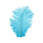 Straussenfeder, 20 cm, 2 St�ck, T�rkis