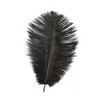 Straussenfeder, 20 cm, 2 St�ck, Schwarz