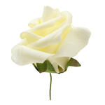 NEU Deko-Rosen, creme, Gr��e 5 cm, Herzbox mit 12 St�ck