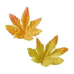 NEU Miniatur-Herbst-Bl�tter, sortiert, Gr��e ca. 5 cm, 20 St�ck
