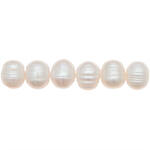 S��wasserperlen Itoshii, 11 - 12 mm, 10 Stk, Natur
