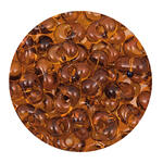 Rocailles-Perlen Itoshii Farfalle, 3,2 x 6,5 mm, 17 g, Braun Transparent