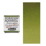 Horadam Aquarell 1/2 N�pfchen, Olivgr�n gelblich
