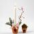 Blumentopf, H�he 6,5 cm, � 7 cm, 24 St�ck je Packung Bild 2