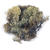 SALE Islandmoos, 30 g, natur