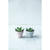 NEU Botz Fl�ssig-Glasur 200ml Puderrosa Bild 3