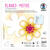 Blanko-Motiv Blume aus Fotokarton, 300g/qm, 20 St�ck, 22 x 22 cm