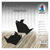NEU Faltbl�tter intensiv 100 Blatt, 20x20cm, Schwarz - Schwarz