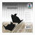 NEU Faltbl�tter intensiv 100 Blatt, 15x15cm, Schwarz - Schwarz