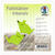 Faltbl�tter intensiv 100 Blatt, 10x10cm, hellgr�n - Hellgr�n