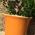 Botz-Fl�ssig-Glasur, 200ml, K�rbisorange Bild 4
