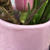 Botz Fl�ssigglasur 200ml Rosa Bild 3