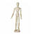 NEU Modellpuppe / Gliederpuppe, Mann, H�he: 30 cm